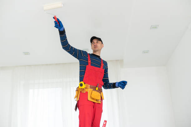 Trusted Lovell, WY Painting & Drywall Services Experts